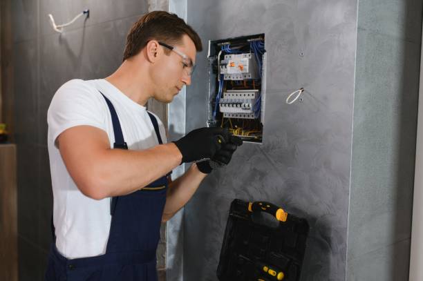 Best Electric Panel Repair  in Hometown, IL